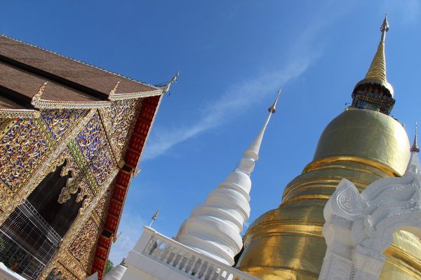 chiangmai/wat san dok.jpg